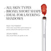 A makeup brush with a broad, short shape is ideal for layering shadows on all skin types, featuring vegan fibers gentle on the skin and designed for precise, fallout-free application.