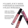 Benefits image for Lip Jellies. Text highlights product benefits: "Glassy, Juicy Shine" "Soothes & Smooths" "Plant-Powered". Below text reads "Hybrid Jelly Formula. Delivers a a sheer wash of color for a natural, healthy-looking pop" and "Nourishing Oil Blend. Apricot & Coconut Oils drench lips in moisture for lasting comfort and shine"