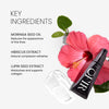 Skin Prep Dewy Benefits image. Text highlights key ingredients "MORINGA SEED OIL: Reduces the appearance of fine lines" "HIBISCUS EXTRACT: Natural complexion refresher" and "LUPIN SEED EXTRACT: Moisturizes and supports collagen"