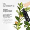 Key Ingredients image for Sheer Skin Text reads "Squalane. Olive derived emollient for fast-absorbent hydration" "Triple Hyaluronic Acid Complex. Moisturizing powerhouse for a soft skin barrier" & "Fermented Turmeric Root Extract. Helps reduce the appearance of redness & irritation"