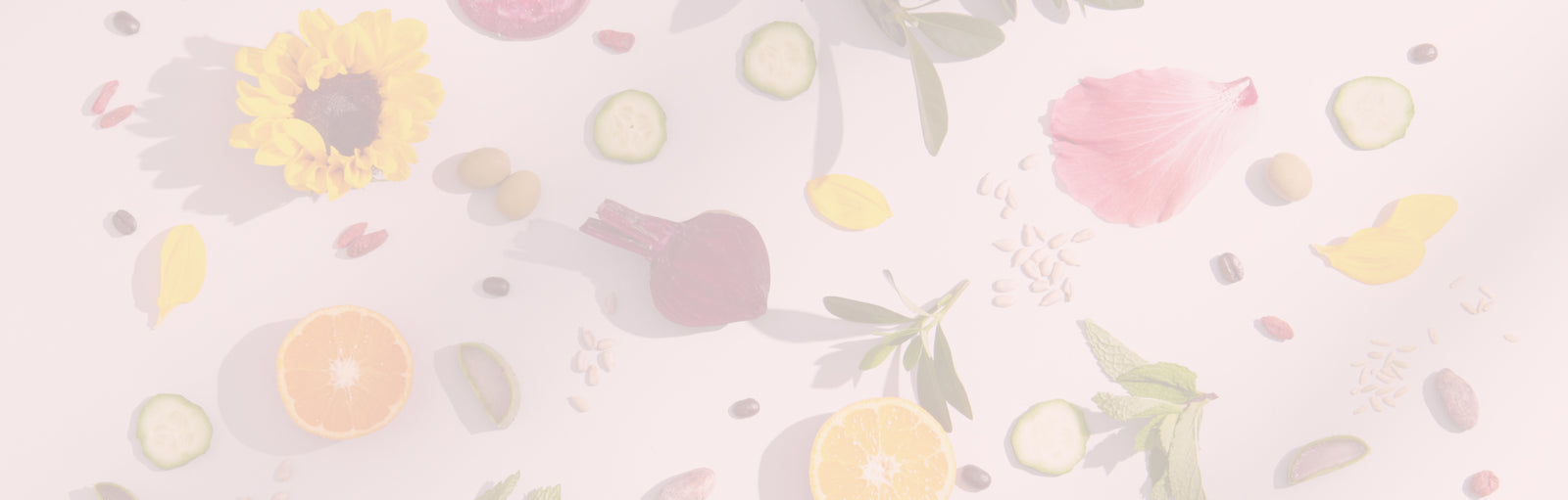 A flat lay of natural ingredients, including a sunflower, cucumber slices, citrus, and various seeds and leaves, arranged on a light background.